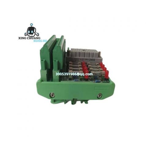 TRICONEX DO2401 Displacement Transmitter Dual Lever